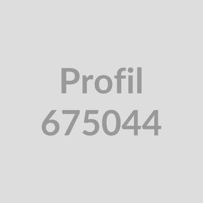 Flachprofil/Sockel 70x3