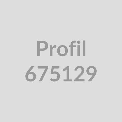 Flachprofil/Sockel 100x3
