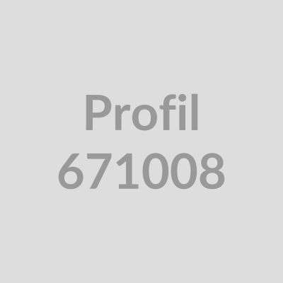 Einschubprofil 10,5 mm mit 44 mm Nase