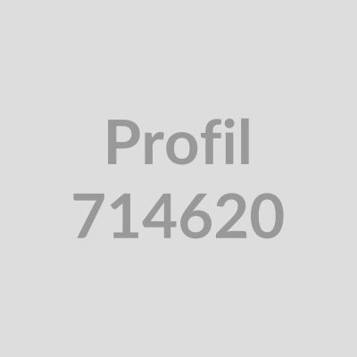 Einschubprofil 3mm