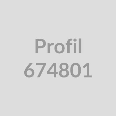Flachprofil/Sockel 100x2