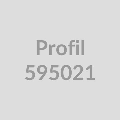 Hohlkehlprofil 25x25