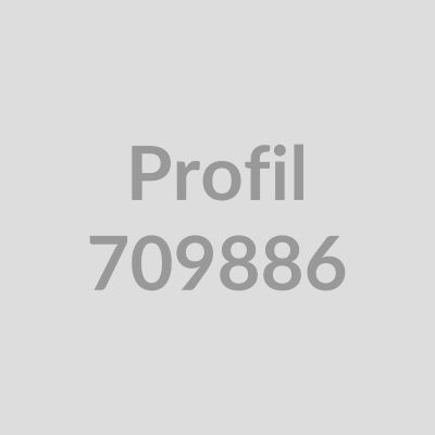 Befestigungsdübel f T-Profile